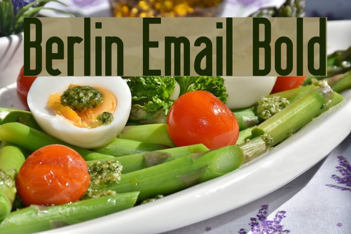 Berlin Email Bold Шрифта examples