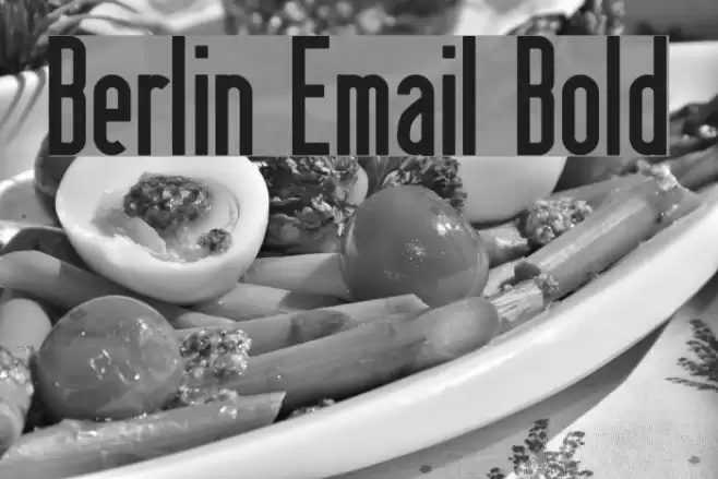 Berlin Email Bold フォント examples