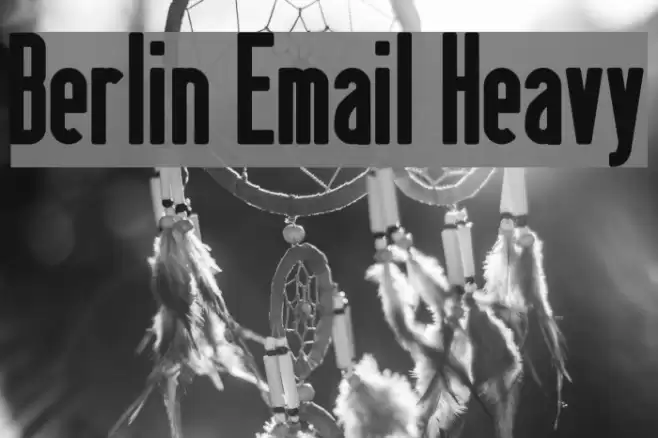 Berlin Email Heavy Polices examples