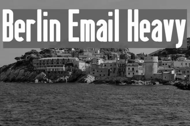 Berlin Email Heavy Polices examples
