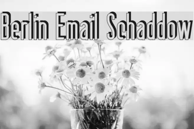 Berlin Email Schaddow フォント examples