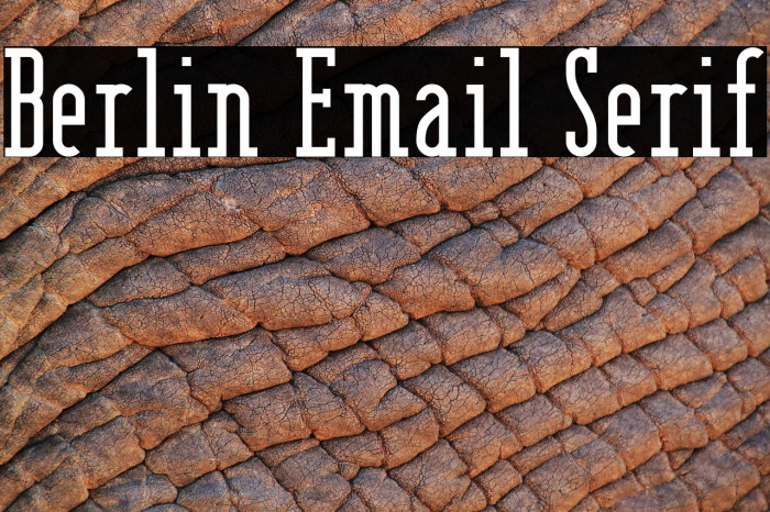 Berlin Email Serif Font examples