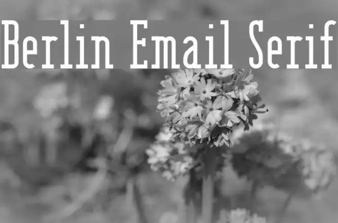 Berlin Email Serif Font examples