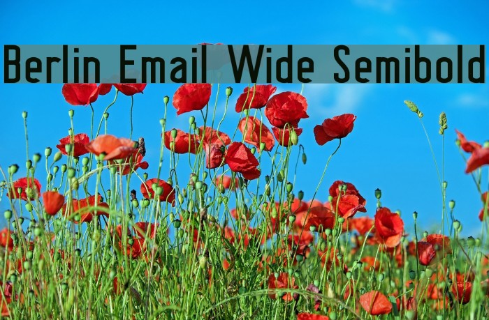 Berlin Email Wide Semibold Font examples