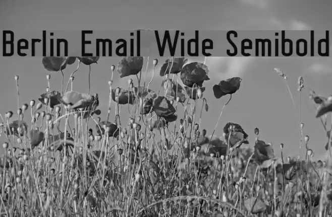 Berlin Email Wide Semibold Font examples