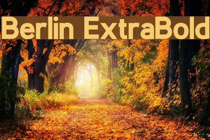 Berlin ExtraBold Font examples