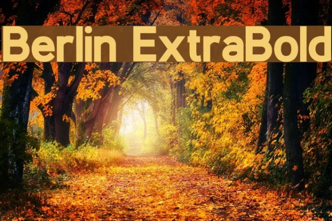 Berlin ExtraBold Example 1