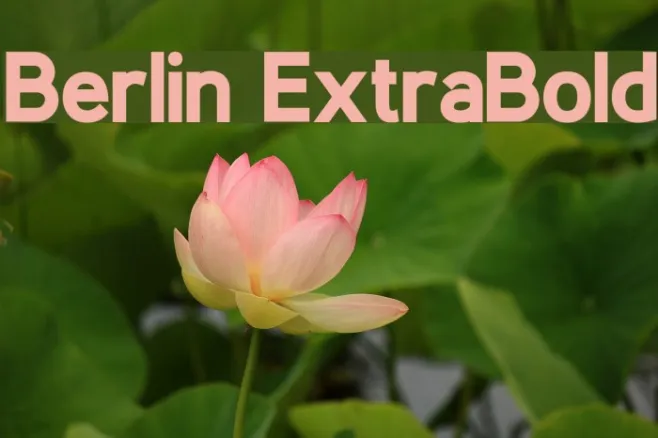 Berlin ExtraBold Example 2