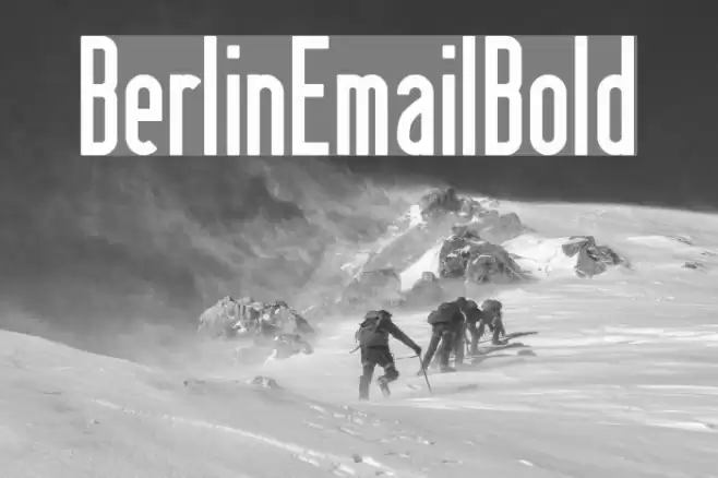 BerlinEmailBold Font examples