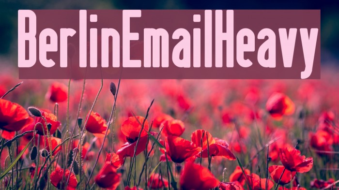 BerlinEmailHeavy Caratteri examples