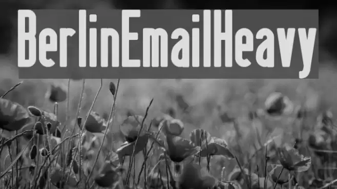 BerlinEmailHeavy Caratteri examples