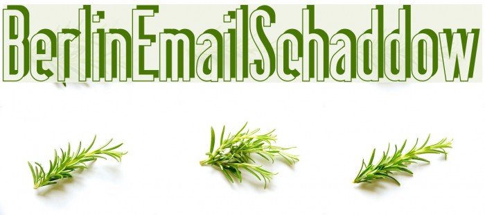 BerlinEmailSchaddow Font examples