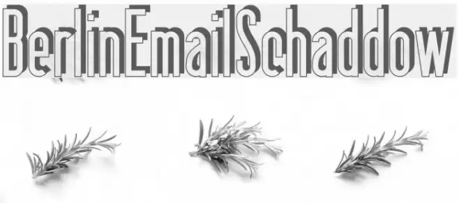 BerlinEmailSchaddow Шрифта examples