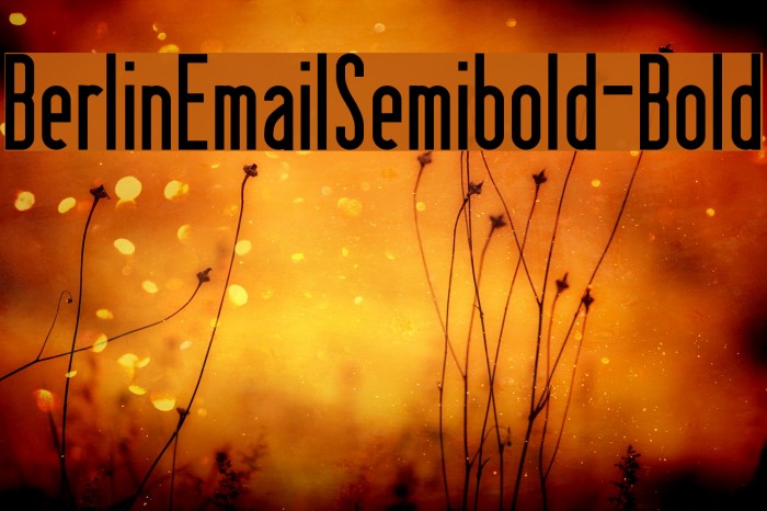 BerlinEmailSemibold-Bold Font examples
