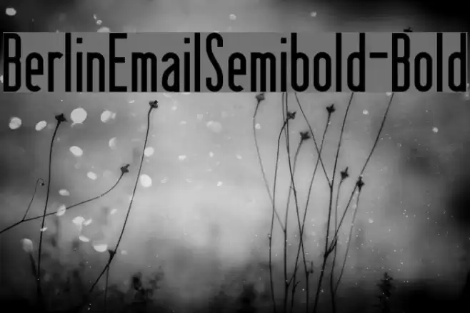 BerlinEmailSemibold-Bold Fonte examples
