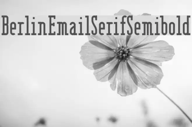 BerlinEmailSerifSemibold Font examples