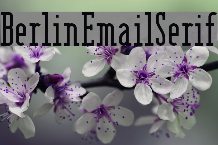 BerlinEmailSerif Font examples