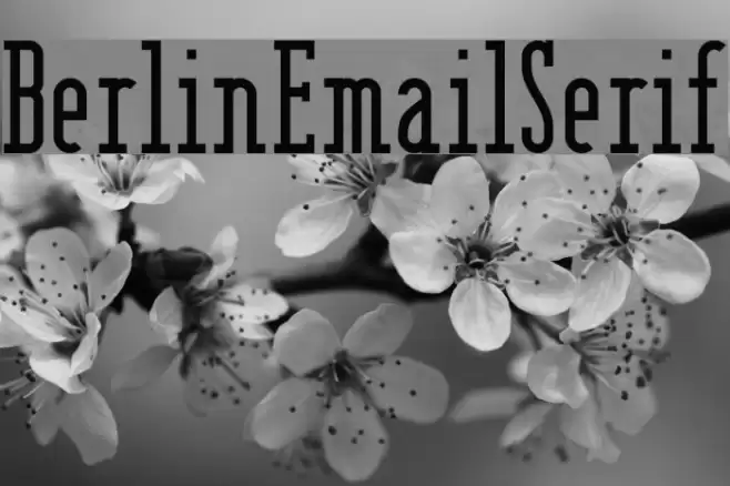 BerlinEmailSerif Шрифта examples
