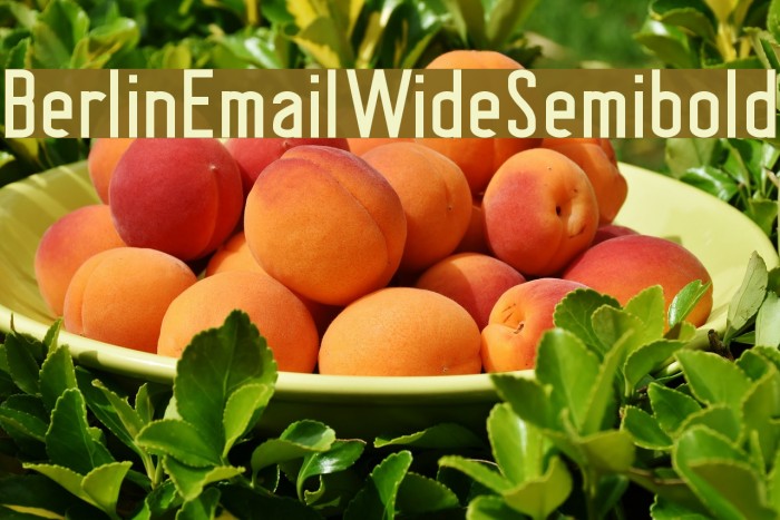 BerlinEmailWideSemibold Font examples