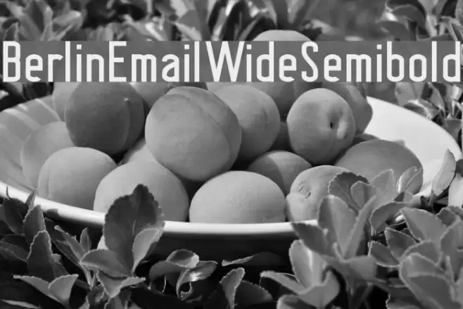 BerlinEmailWideSemibold Font examples