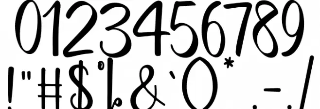 BerlinScript-Regular Font OTHER CHARS