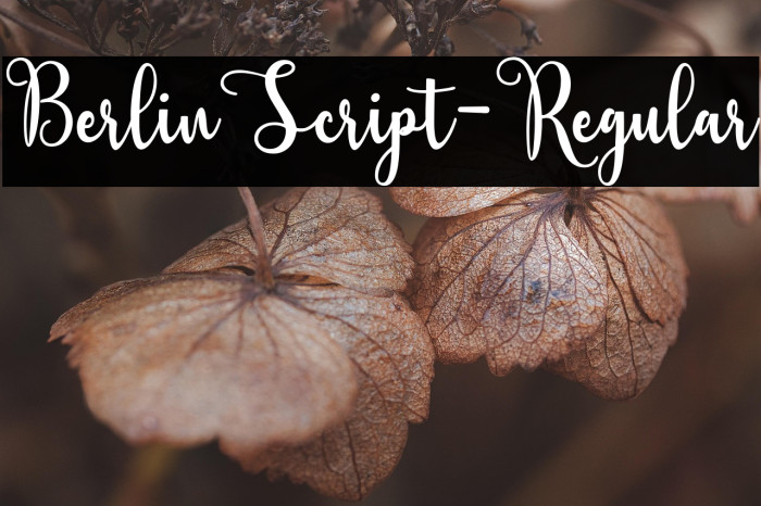 BerlinScript-Regular Example 2