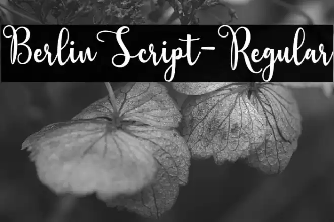 BerlinScript-Regular Fonte examples