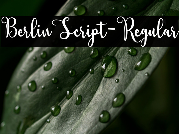 BerlinScript-Regular Example 3