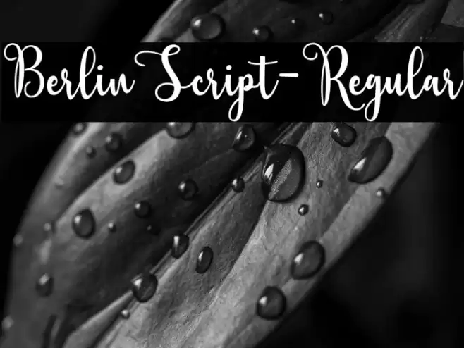 BerlinScript-Regular Fonte examples