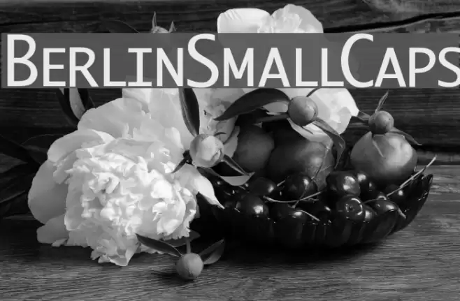 BerlinSmallCaps Font examples