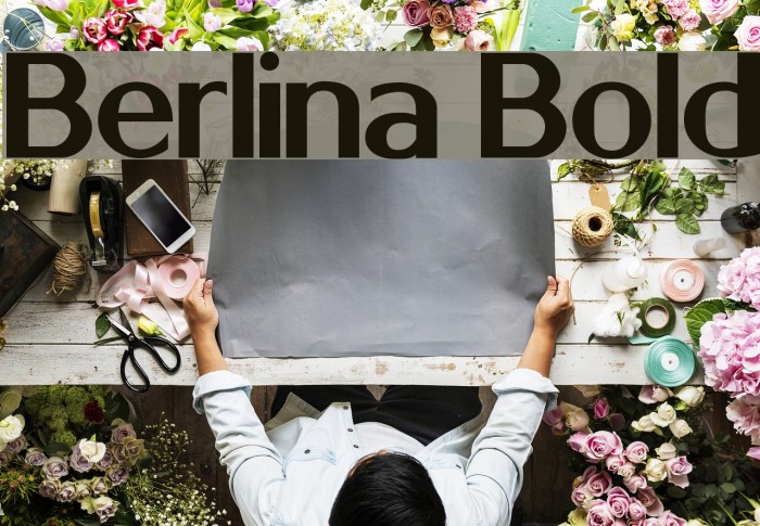 Berlina Bold Font examples