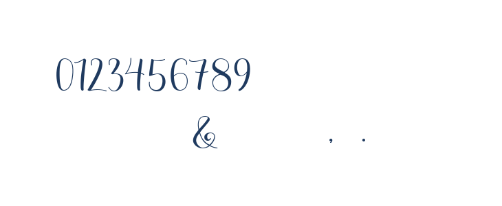 Berlina Script  Personal Use Rg Other Characters