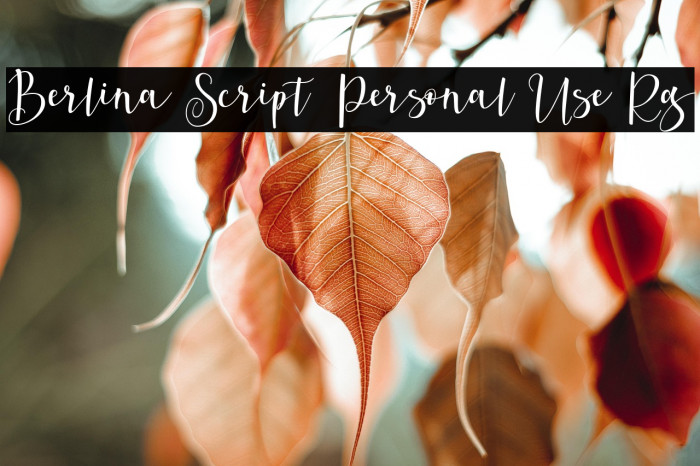 Berlina Script  Personal Use Rg Example 1