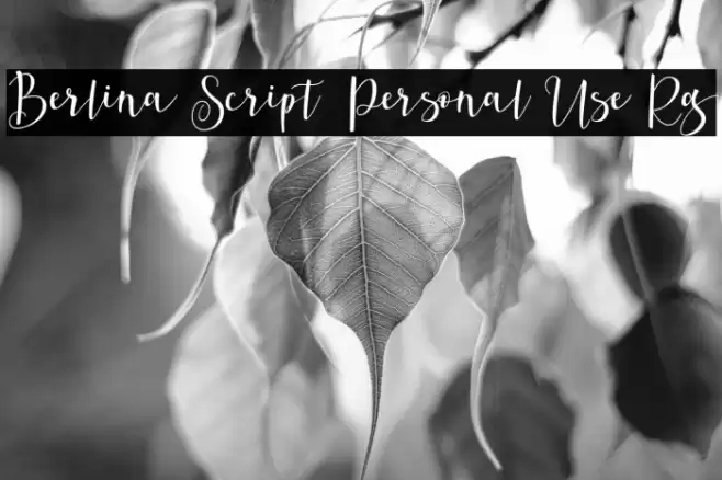 Berlina Script Personal Use Rg Font examples