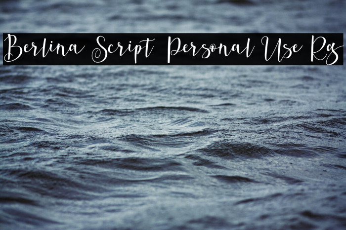Berlina Script  Personal Use Rg Example 2