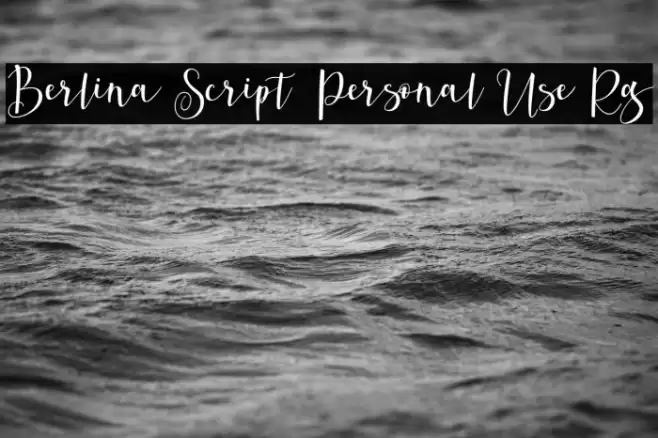 Berlina Script Personal Use Rg Font examples