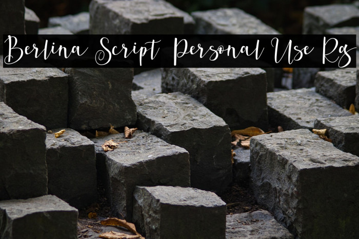 Berlina Script  Personal Use Rg Example 3