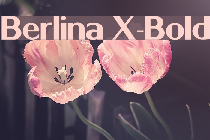 Berlina X-Bold Font examples