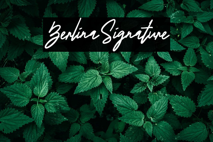 BerlinaSignature Schriftart examples