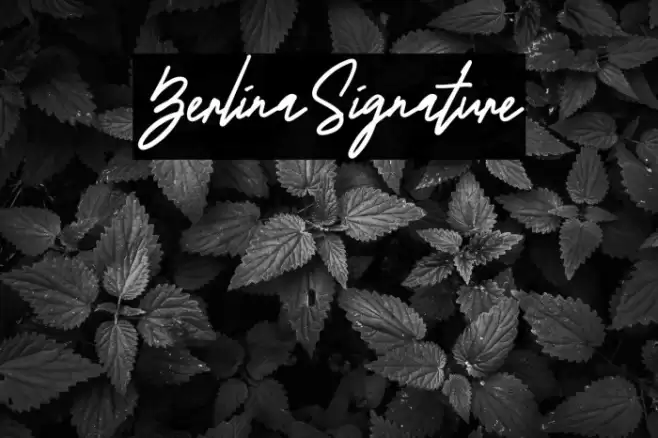 BerlinaSignature Font examples
