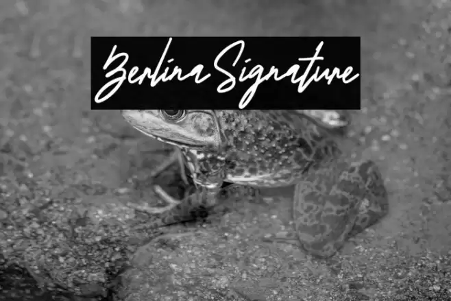 BerlinaSignature Font examples