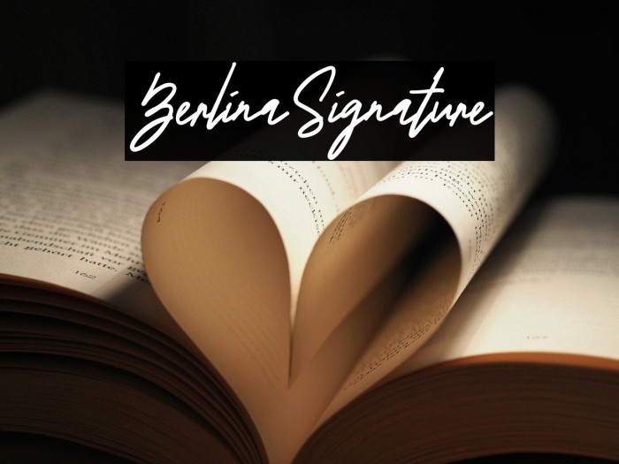 BerlinaSignature Schriftart examples