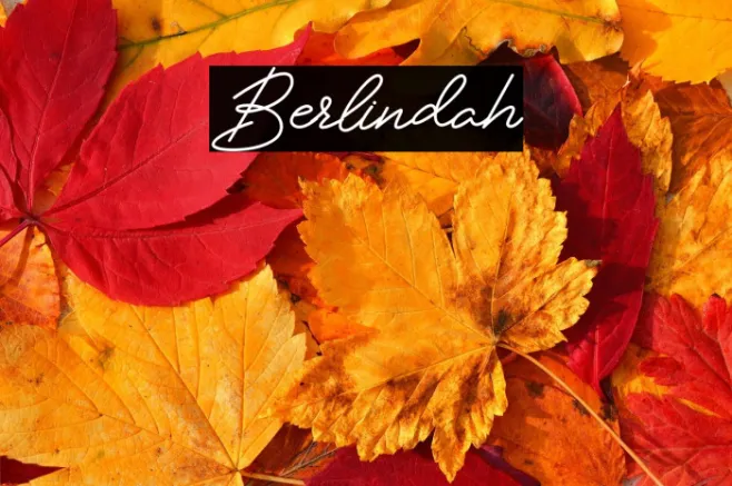 Berlindah Example 1