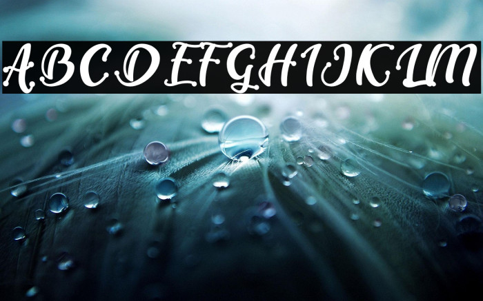 Berlineta DEMO Example 1