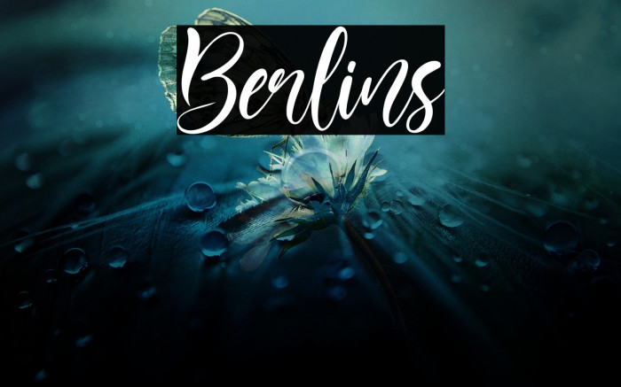 Berlins Font examples