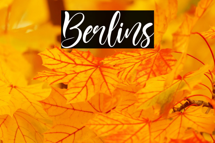 Berlins Font examples