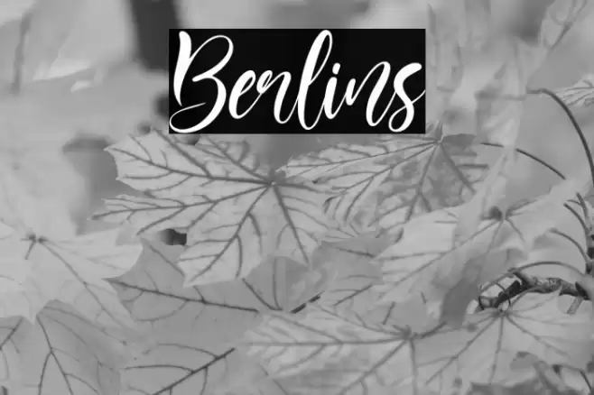 Berlins Caratteri examples