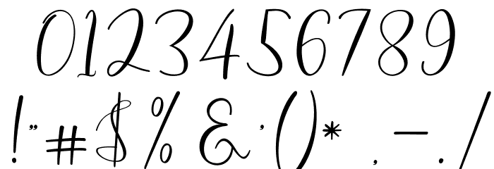BerlinsaScript Font OTHER CHARS
