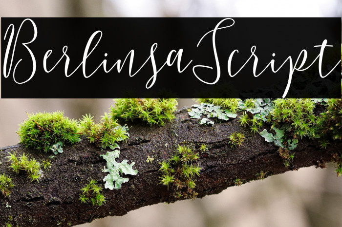 BerlinsaScript Example 1