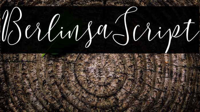 BerlinsaScript Example 2